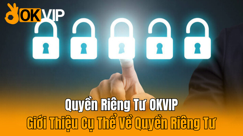 gioi-thieu-cu-the-ve-quyen-rieng-tu-okvip-can-nam