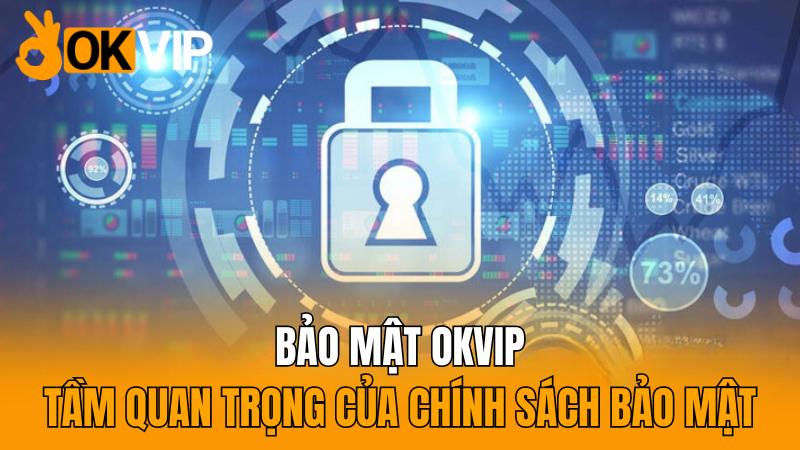 okvip-tam-quan-trong-cua-chinh-sach-bao-mat-okvip-2024